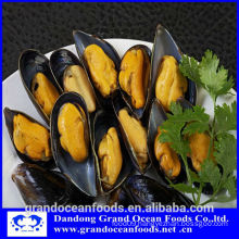 FROZEN HALF SHELL MUSSEL